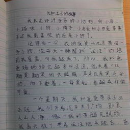 動(dòng)物的人性作文600字開(kāi)頭