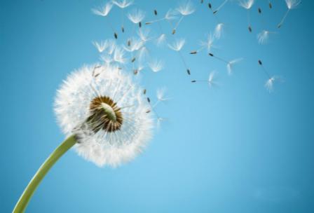 描寫美好的生活的作文開頭結(jié)尾