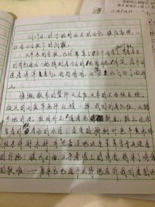 遠(yuǎn)足記敘文(春天遠(yuǎn)足的記敘文)