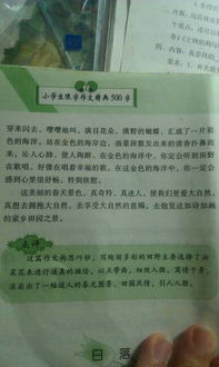 美麗優(yōu)美的地方景色作文開(kāi)頭