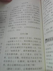 有關(guān)安全的主題作文精美開頭