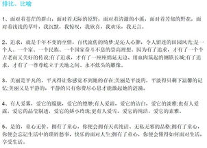 她___了作文開頭和結尾