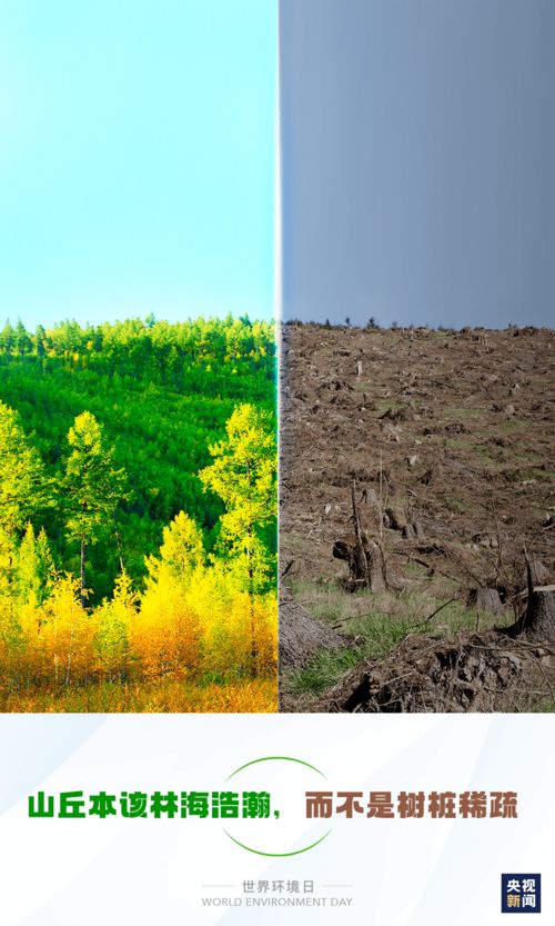 青春夢想作文開頭和結(jié)尾