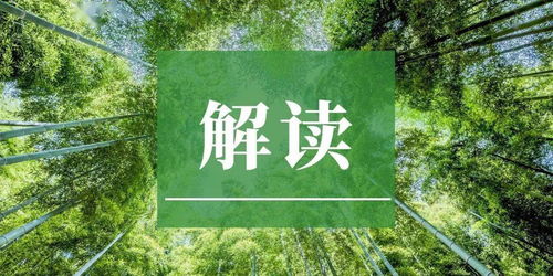 林木采伐安排方案(林木采伐安全合同)