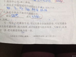 小學(xué)三級語文一單元作文開頭結(jié)尾怎么寫