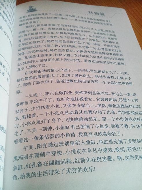 創(chuàng)意描述作文開頭