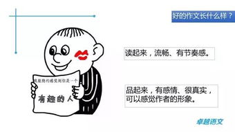 拯救動(dòng)物開頭作文