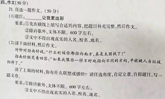 挑戰(zhàn)讓我更出彩作文開頭