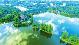 樂至南湖公園作文開頭