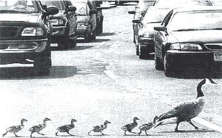 以微幸福為題的作文1000字作文開頭