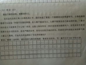 我是主角作文700字開頭