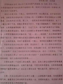 摘梨的樂趣作文開頭