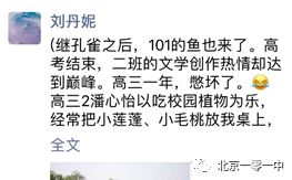 經(jīng)歷讓我收獲什么作文開頭