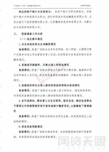 專項(xiàng)審計(jì)報(bào)告范文精選(專項(xiàng)審計(jì)報(bào)告范文)