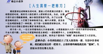 英語勵(lì)志故事600字作文開頭結(jié)尾