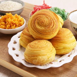 壽縣大救駕作文開頭