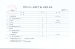 鄉(xiāng)鎮(zhèn)財(cái)政預(yù)決算報告(部門預(yù)決算自查報告)