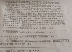 問句,作文,文體,開頭