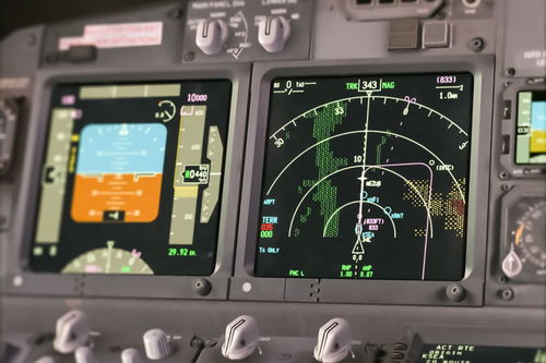 老鼠與老虎作文的開頭