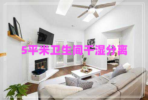 5平米衛(wèi)生間干濕分離