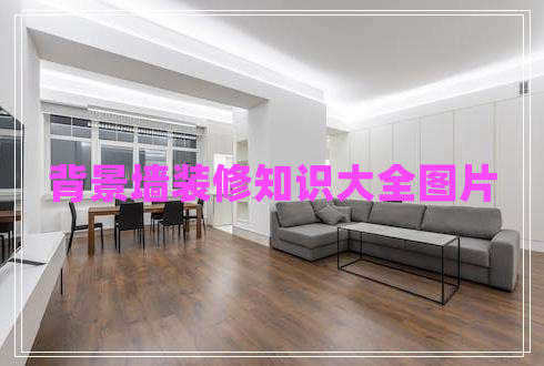 背景墻裝修知識(shí)大全圖片