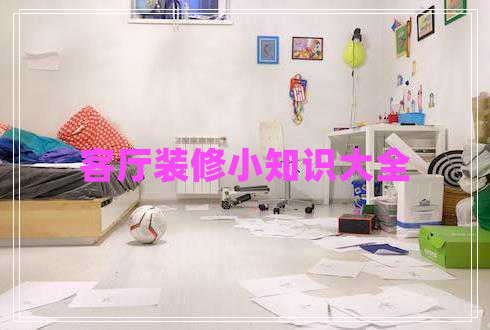 客廳裝修小知識大全