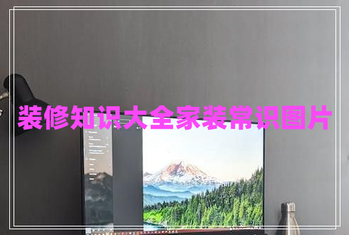 裝修知識(shí)大全家裝常識(shí)圖片