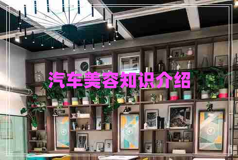 汽車美容知識介紹