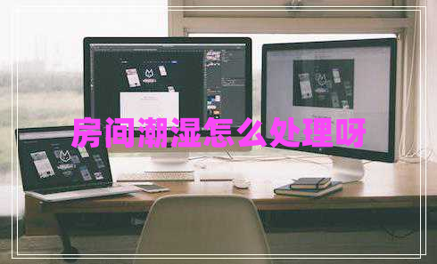 房間潮濕怎么處理呀
