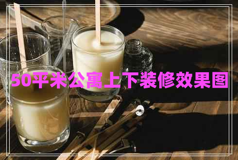 50平米公寓上下裝修效果圖 50平米公寓上下裝修效果圖