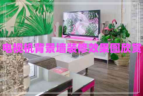 電視機(jī)背景墻裝修效果圖欣賞