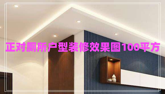 正對廁所戶型裝修效果圖100平方 正對廁所戶型裝修效果圖100平方