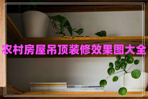 農(nóng)村房屋吊頂裝修效果圖大全