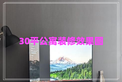 30平公寓裝修效果圖 30平公寓裝修效果圖