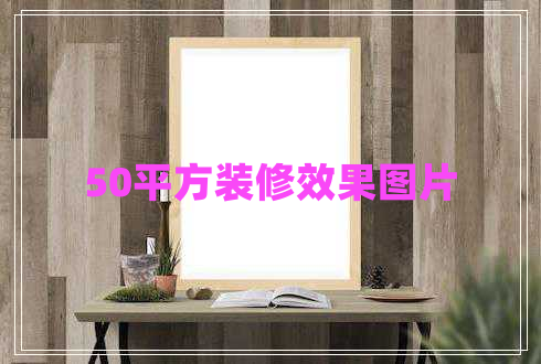 50平方裝修效果圖片 50平方裝修效果圖片
