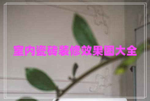 室內(nèi)瓷磚裝修效果圖大全