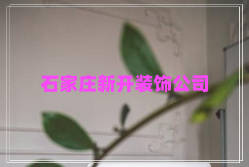 石家莊新開裝飾公司 石家莊新開裝飾公司