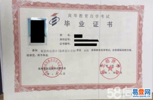 自考本科可以考中職教資嗎