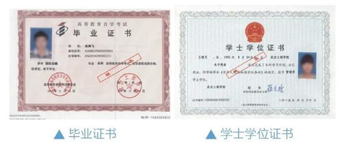 全日制自考本科的缺點(diǎn)