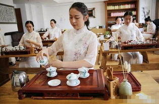 茶學專業(yè)本科自考