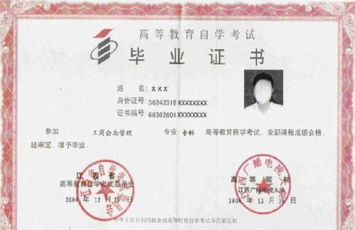 自考專(zhuān)科能接本科嗎