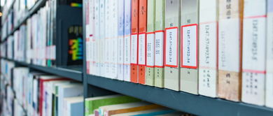 法學(xué)自考本科難么