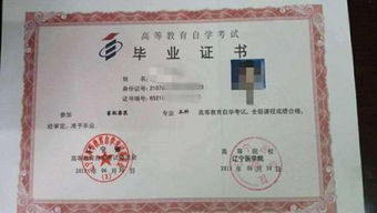 自考?？瓶梢詧?bào)考自考本科嗎