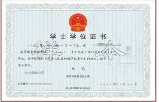 應(yīng)用型自考本科生考