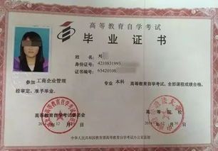 自考本科和統(tǒng)招本科哪個(gè)難