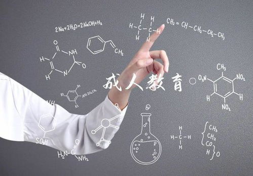 自考本科小教綜合素質