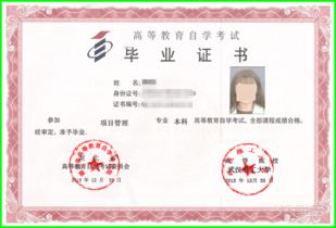 自考本科項目管理基礎