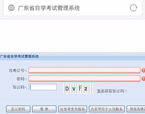 自考本科如果不報(bào)班怎么考