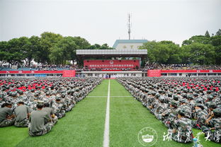 湖南省自考本科畢業(yè)證