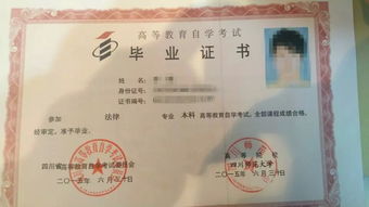 自考法律本科報(bào)考法律大類